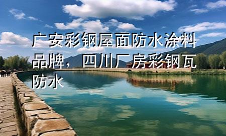廣安彩鋼屋面防水涂料品牌，四川廠房彩鋼瓦防水