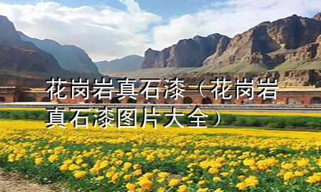 花崗巖真石漆（花崗巖真石漆圖片大全）