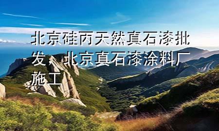 北京硅丙天然真石漆批發(fā)，北京真石漆涂料廠施工