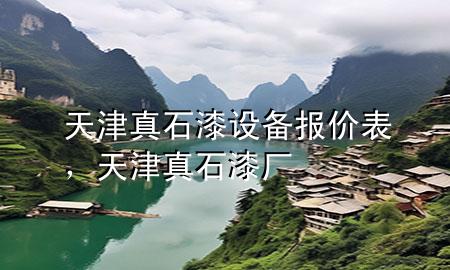 天津真石漆設(shè)備報價表，天津真石漆廠