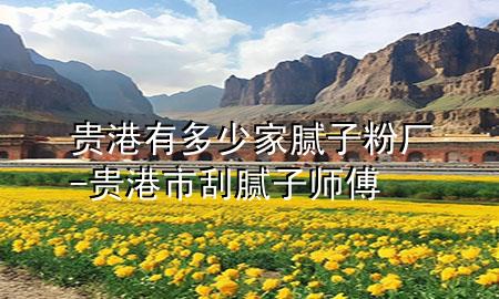 貴港有多少家膩子粉廠-貴港市刮膩子師傅