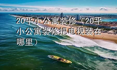 20平小公寓裝修（20平小公寓裝修把電視裝在哪里）