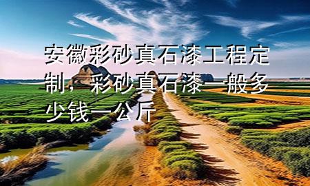 安徽彩砂真石漆工程定制，彩砂真石漆一般多少錢一公斤