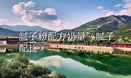 膩子粉配方奶量（膩子配比）
