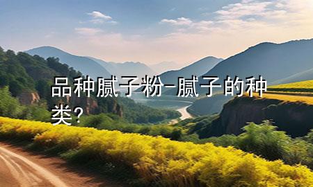 品種膩子粉-膩子的種類?