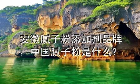 安徽膩?zhàn)臃厶砑觿┢放?，中國膩?zhàn)臃凼鞘裁?