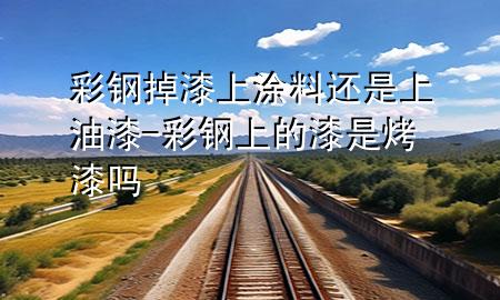 彩鋼掉漆上涂料還是上油漆-彩鋼上的漆是烤漆嗎