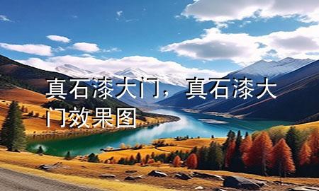 真石漆 大門，真石漆大門效果圖