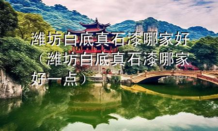 濰坊白底真石漆哪家好（濰坊白底真石漆哪家好一點(diǎn)）