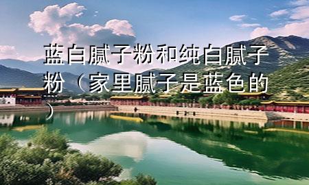 藍(lán)白膩子粉和純白膩子粉（家里膩子是藍(lán)色的）