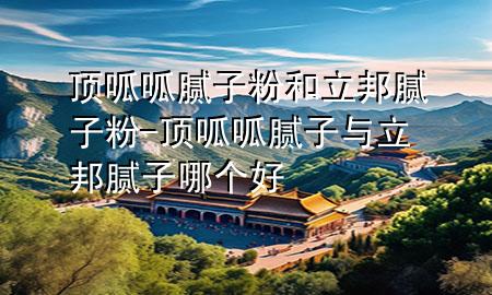 頂呱呱膩?zhàn)臃酆土钅佔(zhàn)臃?頂呱呱膩?zhàn)优c立邦膩?zhàn)幽膫€(gè)好