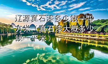 遼源真石漆多少錢一平方米（真石漆大概多少錢一平米）