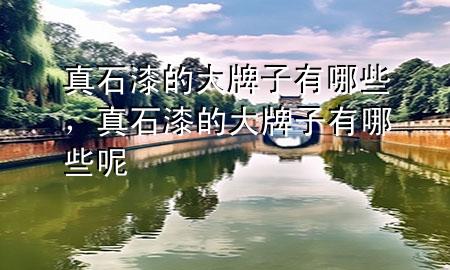 真石漆的大牌子有哪些，真石漆的大牌子有哪些呢