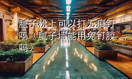 膩子粉上可以打無痕釘嗎（膩子墻能用免釘膠嗎）