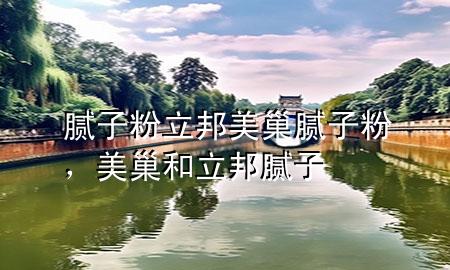 膩子粉 立邦 美巢膩子粉，美巢和立邦膩子