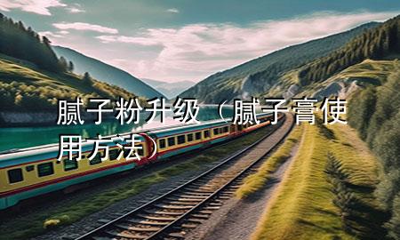 膩子粉升級（膩子膏使用方法）