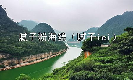 膩子粉海綿（膩子ici）