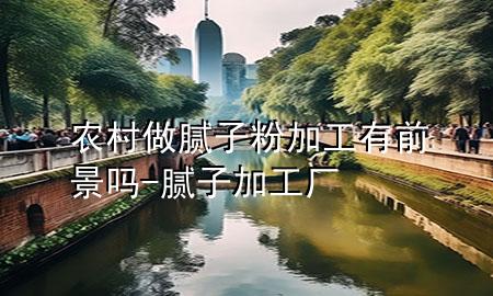 農村做膩子粉加工有前景嗎-膩子加工廠