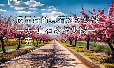 質(zhì)量好的真石漆多少錢一天-真石漆多少錢一千克