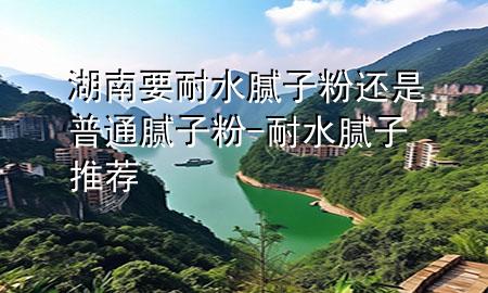湖南要耐水膩?zhàn)臃圻€是普通膩?zhàn)臃?耐水膩?zhàn)油扑]