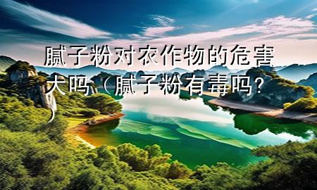 膩子粉對農(nóng)作物的危害大嗎（膩子粉有毒嗎?）