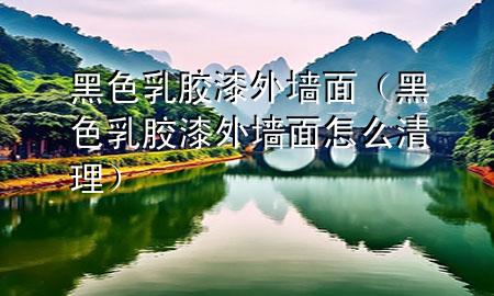 黑色乳膠漆外墻面（黑色乳膠漆外墻面怎么清理）