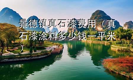景德鎮(zhèn)真石漆費用（真石漆涂料多少錢一平米）