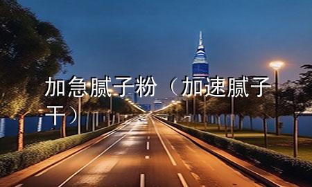 加急膩子粉（加速膩子干）