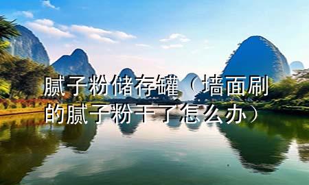 膩子粉儲存罐（墻面刷的膩子粉干了怎么辦）