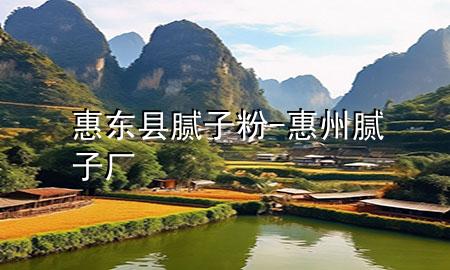惠東縣膩子粉-惠州膩子廠