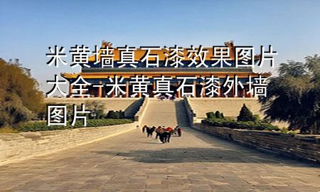 米黃墻真石漆效果圖片大全-米黃真石漆外墻圖片
