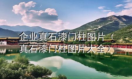 企業(yè)真石漆門柱圖片（真石漆門柱圖片大全）