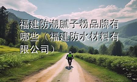 福建防潮膩子粉品牌有哪些（福建防水材料有限公司）
