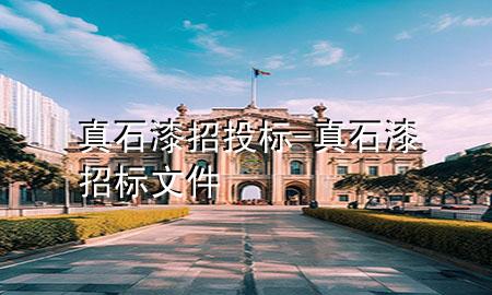 真石漆招投標(biāo)-真石漆招標(biāo)文件