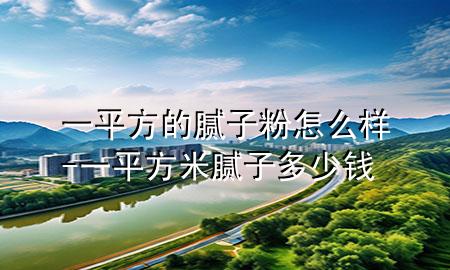 一平方的膩?zhàn)臃墼趺礃?一平方米膩?zhàn)佣嗌馘X(qián)