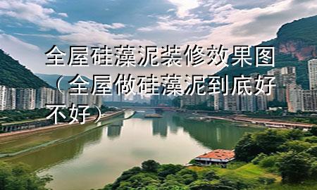 全屋硅藻泥裝修效果圖（全屋做硅藻泥到底好不好）