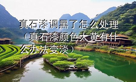 真石漆調(diào)黑了怎么處理（真石漆顏色太黃有什么辦法變淡）