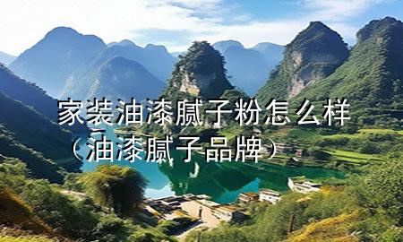 家裝油漆膩?zhàn)臃墼趺礃樱ㄓ推崮佔(zhàn)悠放疲?>
             </div>
             <!--文章無圖的情況下插入一張圖片end-->
              
      <p>本篇文章給大家談?wù)劶已b油漆膩?zhàn)臃墼趺礃樱约坝推崮佔(zhàn)悠放茖?duì)應(yīng)的知識(shí)點(diǎn)，希望對(duì)各位有所幫助，不要忘了收***本站喔。
今天給各位分享家裝油漆膩?zhàn)臃墼趺礃拥闹R(shí)，其中也會(huì)對(duì)油漆膩?zhàn)悠放七M(jìn)行解釋，如果能碰巧解決***現(xiàn)在面臨的問題，別忘了關(guān)注本站，現(xiàn)在開始吧！</p><ol type=