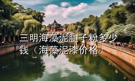三明海藻泥膩子粉多少錢（海藻泥漆價格）