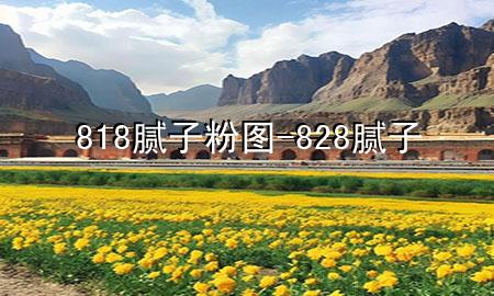 818膩?zhàn)臃蹐D-828膩?zhàn)?>
             </div>
             <!--文章無圖的情況下插入一張圖片end-->
              
      <p>大家好，今天小編關(guān)注到一個(gè)比較有意思的話題，就是關(guān)于818膩?zhàn)臃蹐D的問題，于是小編就整理了4個(gè)相關(guān)介紹818膩?zhàn)臃蹐D的解答，讓我們一起看看吧。</p><ol type=