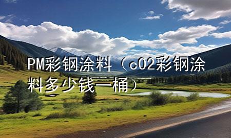 PM彩鋼涂料（c02彩鋼涂料多少錢一桶）