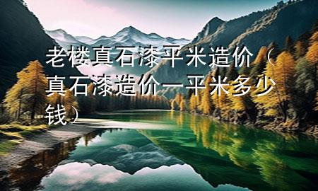 老樓真石漆平米造價（真石漆造價一平米多少錢）