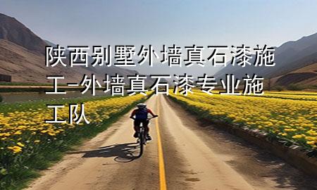 陜西別墅外墻真石漆施工-外墻真石漆專業(yè)施工隊