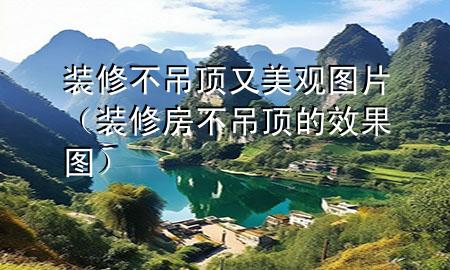 裝修不吊頂又美觀圖片（裝修房不吊頂?shù)男Ч麍D）