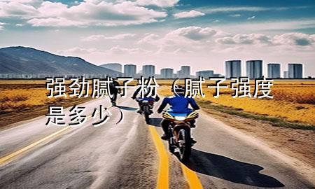 強勁膩子粉（膩子強度是多少）