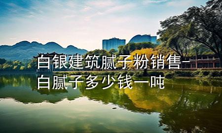 白銀建筑膩?zhàn)臃垆N售-白膩?zhàn)佣嗌馘X一噸