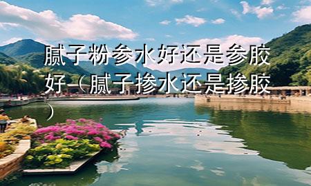 膩?zhàn)臃蹍⑺眠€是參膠好（膩?zhàn)訐剿€是摻膠）