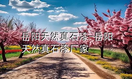 岳陽(yáng)天然真石漆-岳陽(yáng)天然真石漆廠家