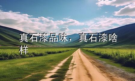 真石漆品味，真石漆啥樣