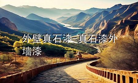 外壁真石漆-真石漆 外墻漆